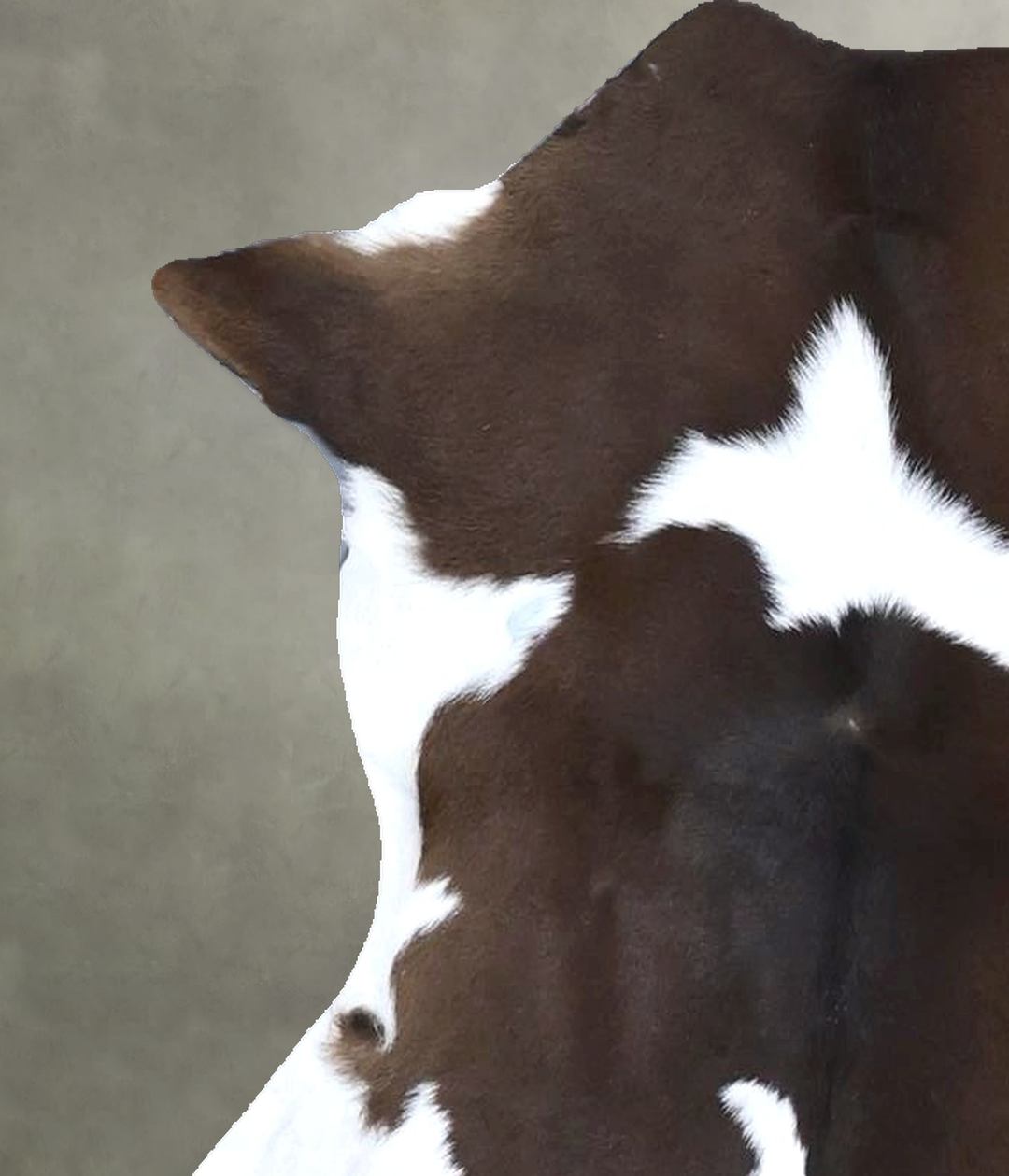 Calfhide Approx 2'x3' #B22244 by Hudson Hides