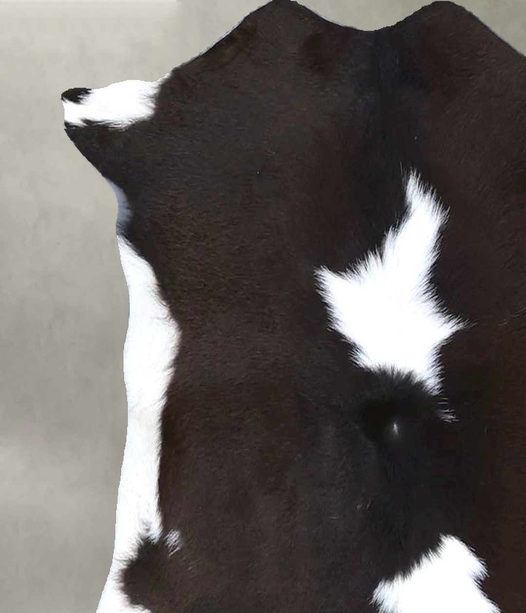 Calfhide Approx 2'x3' #B22245 by Hudson Hides