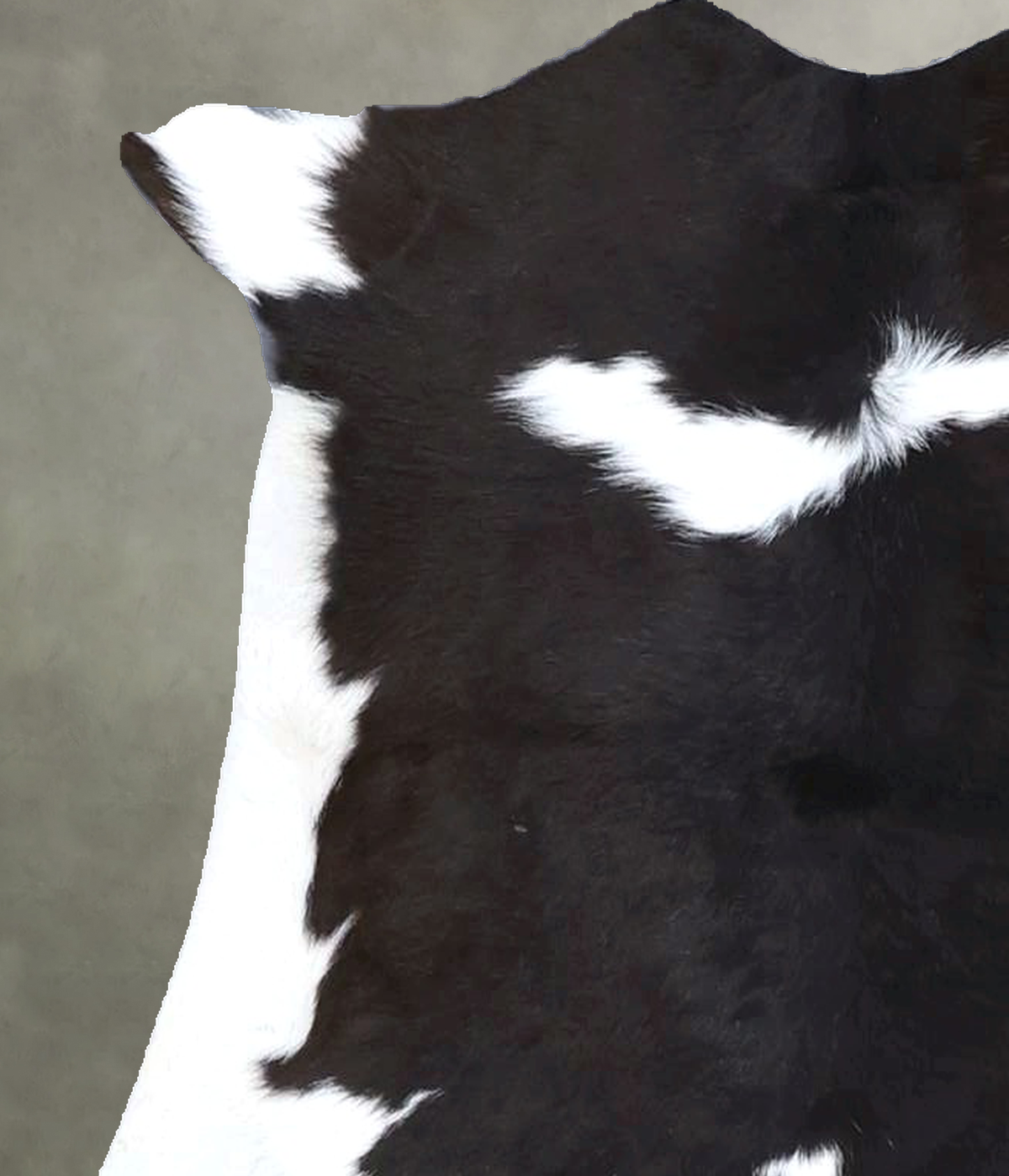 Calfhide Approx 2'x3' #B22247 by Hudson Hides