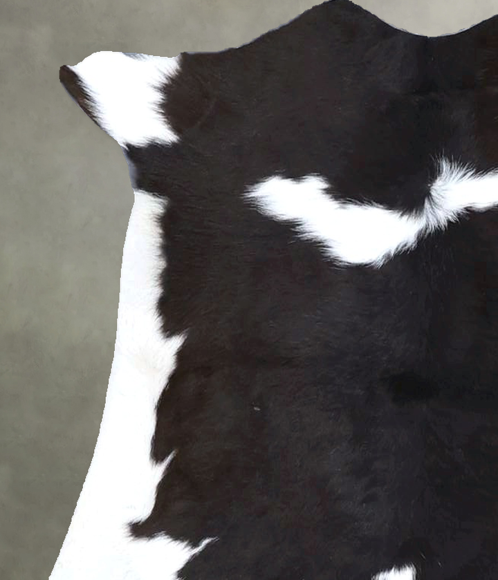 Calfhide Approx 2'x3' #B22247 by Hudson Hides