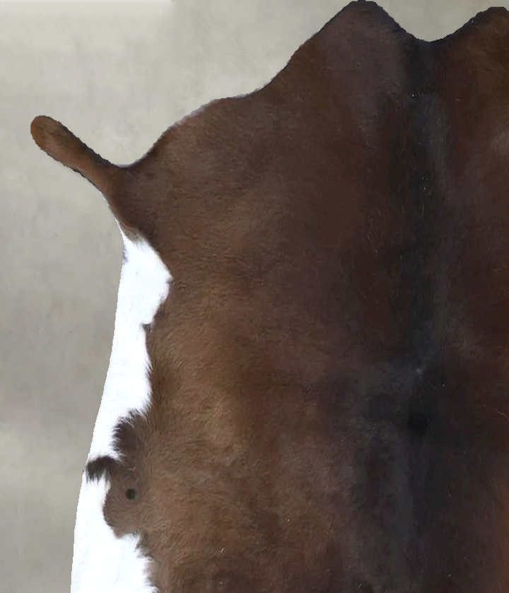 Calfhide Approx 2'x3' #B22248 by Hudson Hides