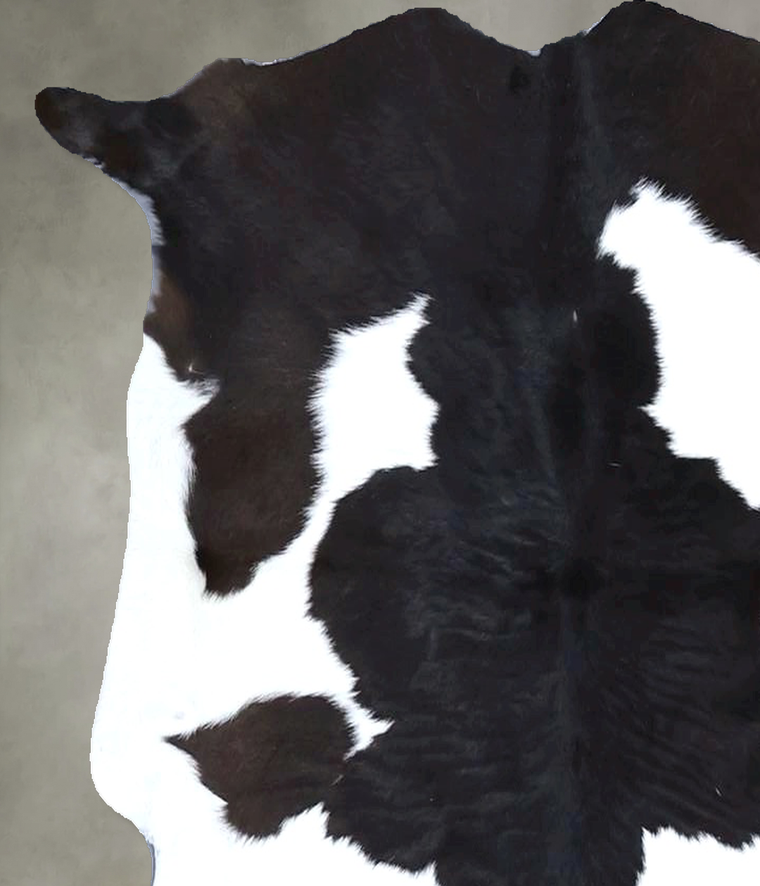 Calfhide Approx 2'x3' #B22249 by Hudson Hides