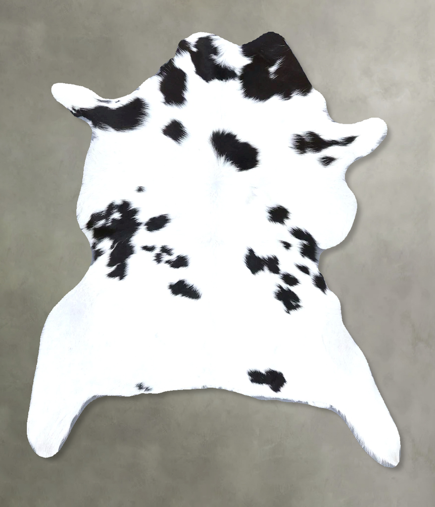 Calfhide Approx 2'x3' #B22250 by Hudson Hides