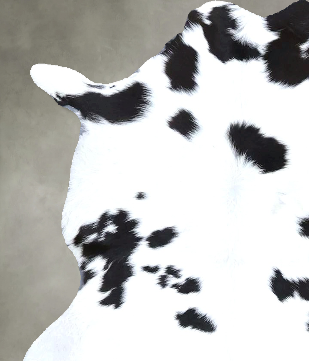 Calfhide Approx 2'x3' #B22250 by Hudson Hides