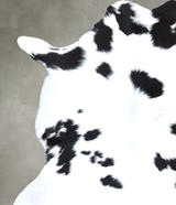 Calfhide Approx 2'x3' #B22250 by Hudson Hides