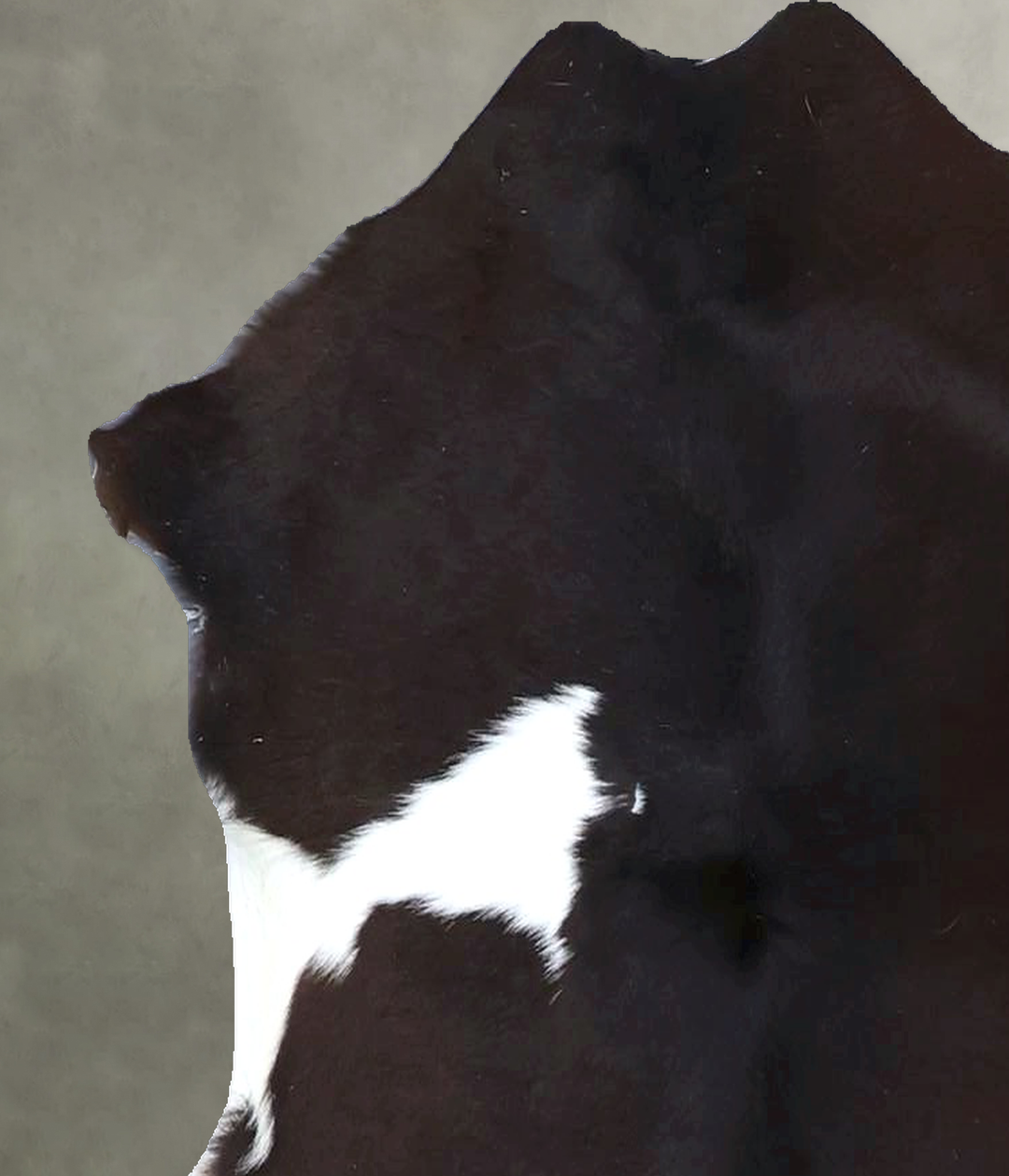 Calfhide Approx 2'x3' #B22251 by Hudson Hides