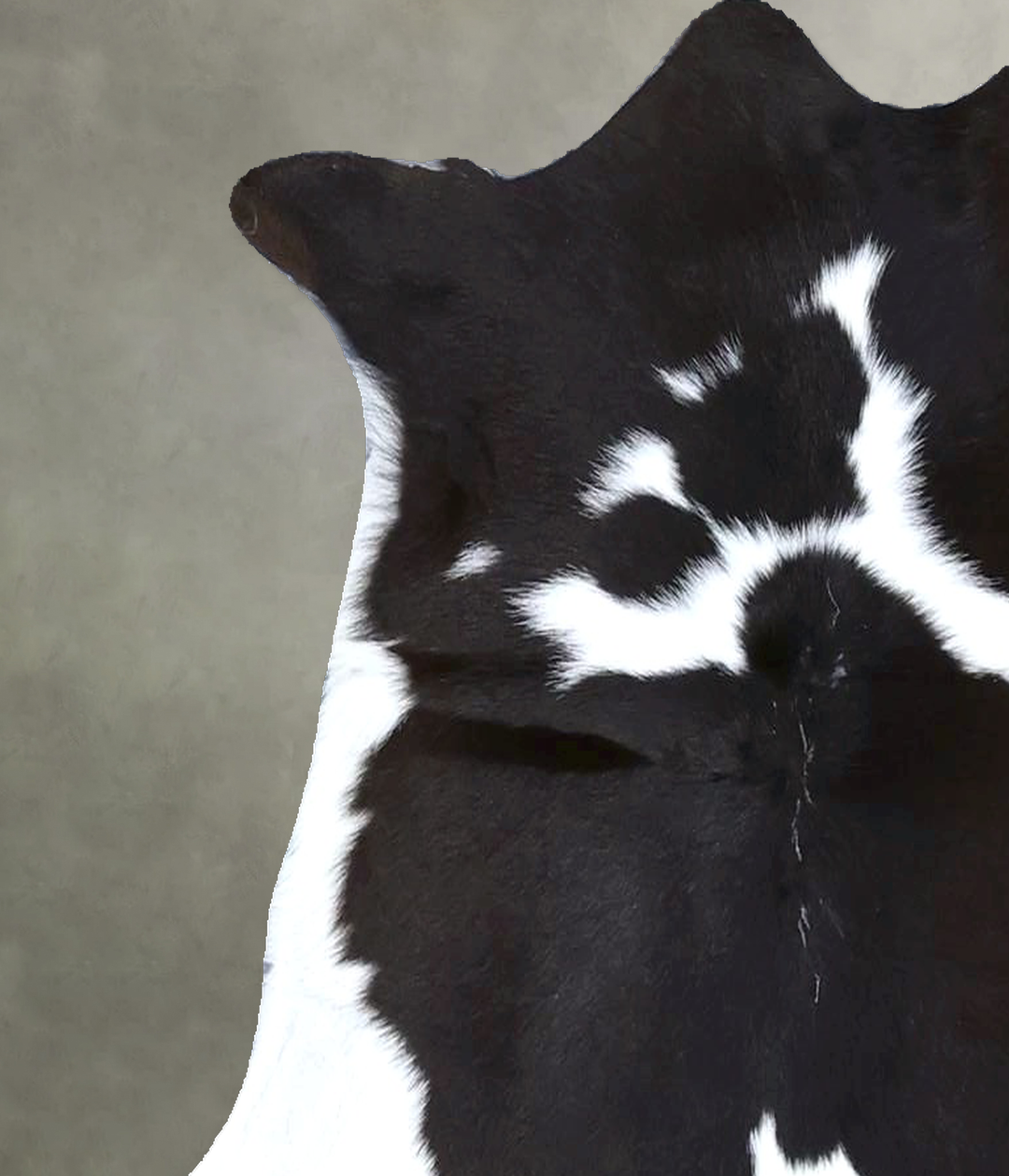 Calfhide Approx 2'x3' #B22252 by Hudson Hides