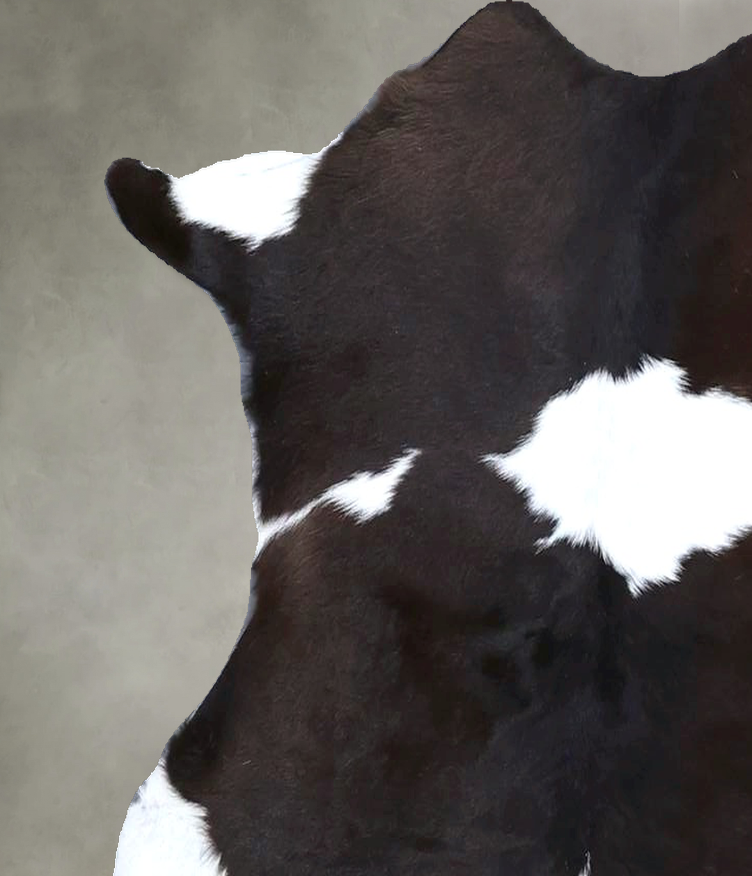 Calfhide Approx 2'x3' #B22254 by Hudson Hides