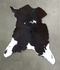 Calfhide Approx 2'x3' #B22256 by Hudson Hides