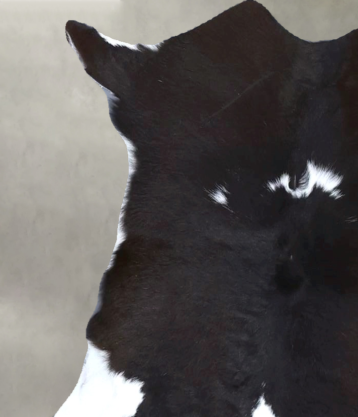 Calfhide Approx 2'x3' #B22256 by Hudson Hides