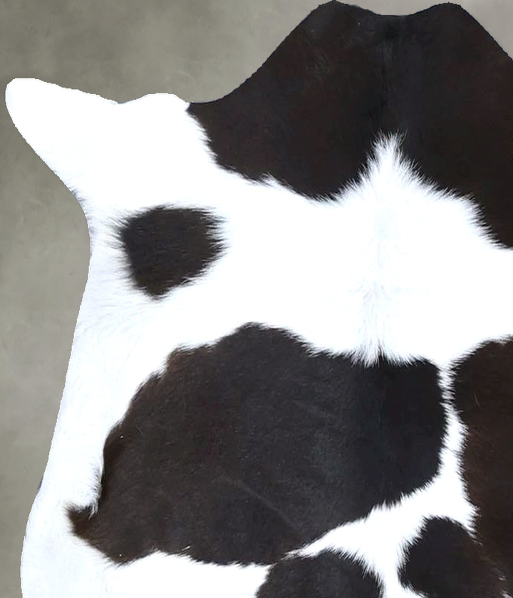 Calfhide Approx 2'x3' #B22257 by Hudson Hides