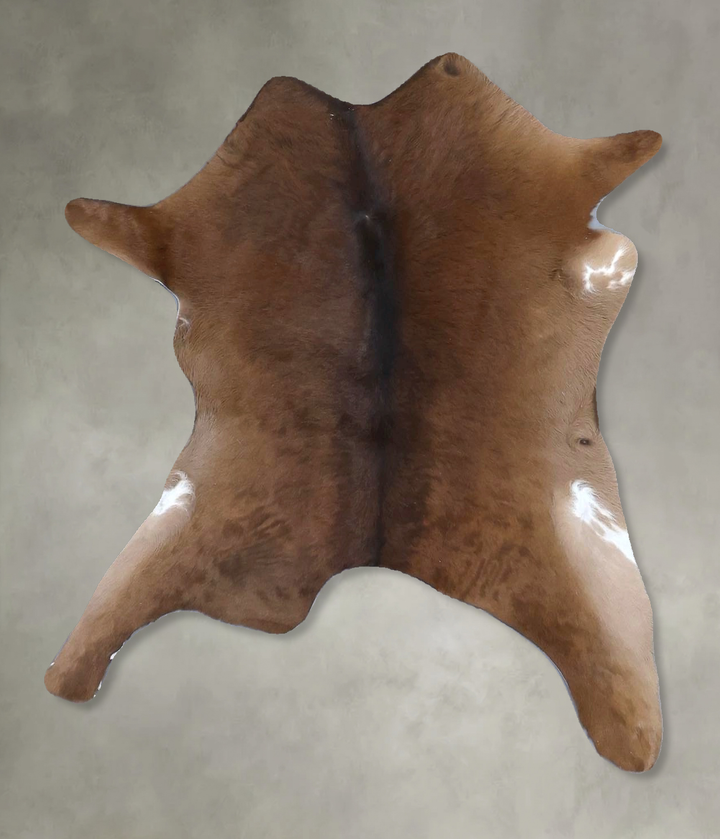 Calfhide Approx 2'x3' #B22258 by Hudson Hides