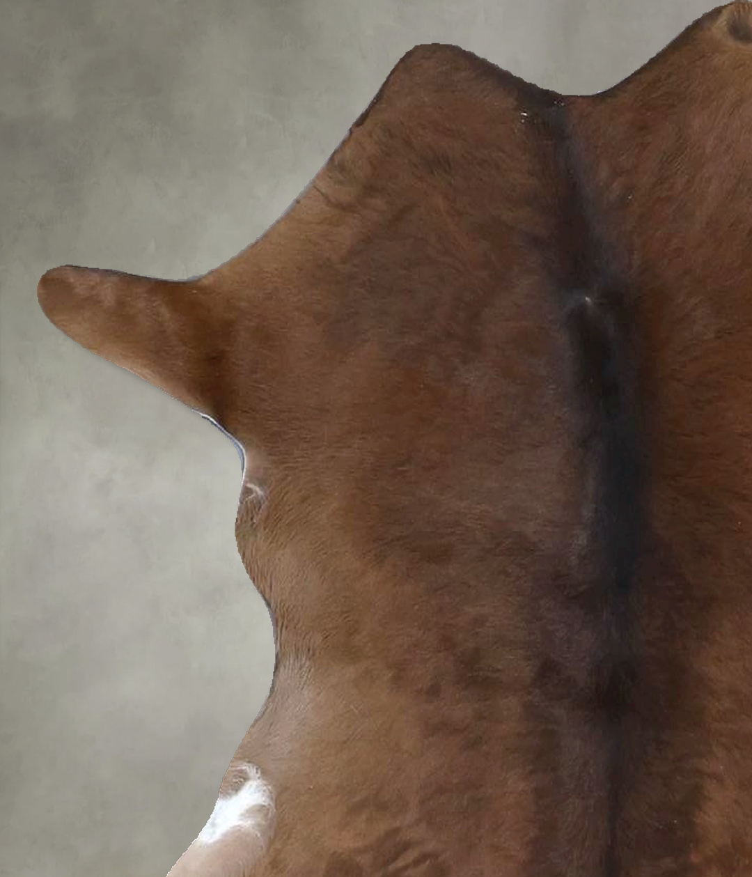 Calfhide Approx 2'x3' #B22258 by Hudson Hides
