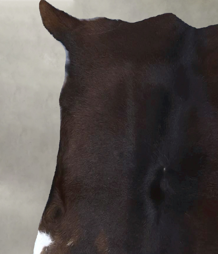 Calfhide Approx 2'x3' #B22259 by Hudson Hides