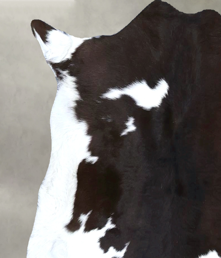 Calfhide Approx 2'x3' #B22260 by Hudson Hides