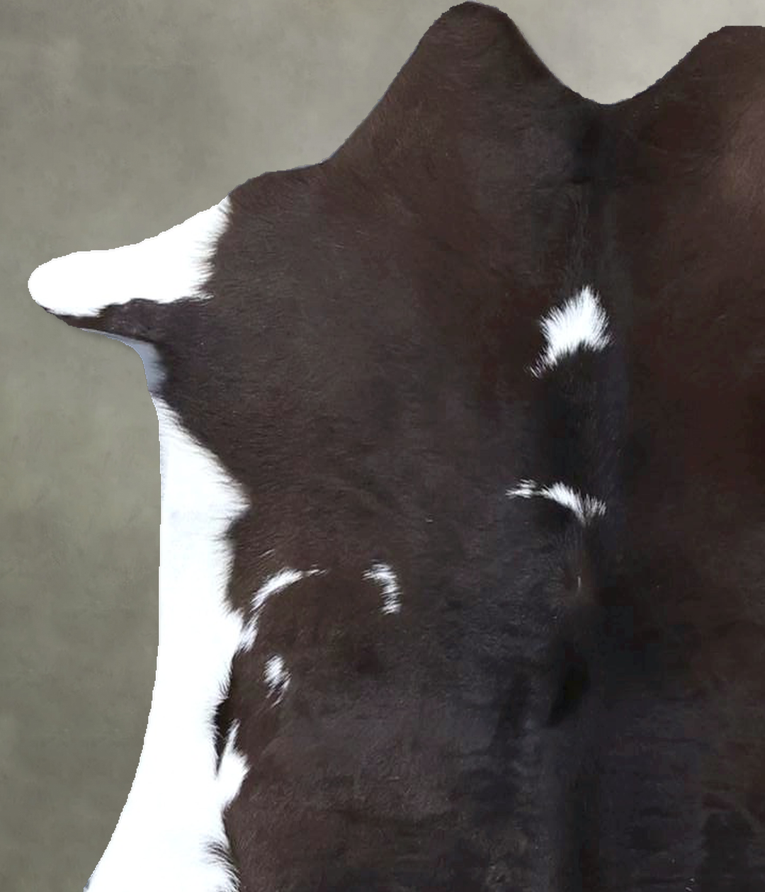 Calfhide Approx 2'x3' #B22261 by Hudson Hides