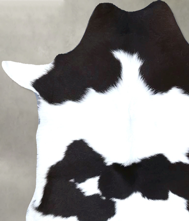 Calfhide Approx 2'x3' #B22263 by Hudson Hides