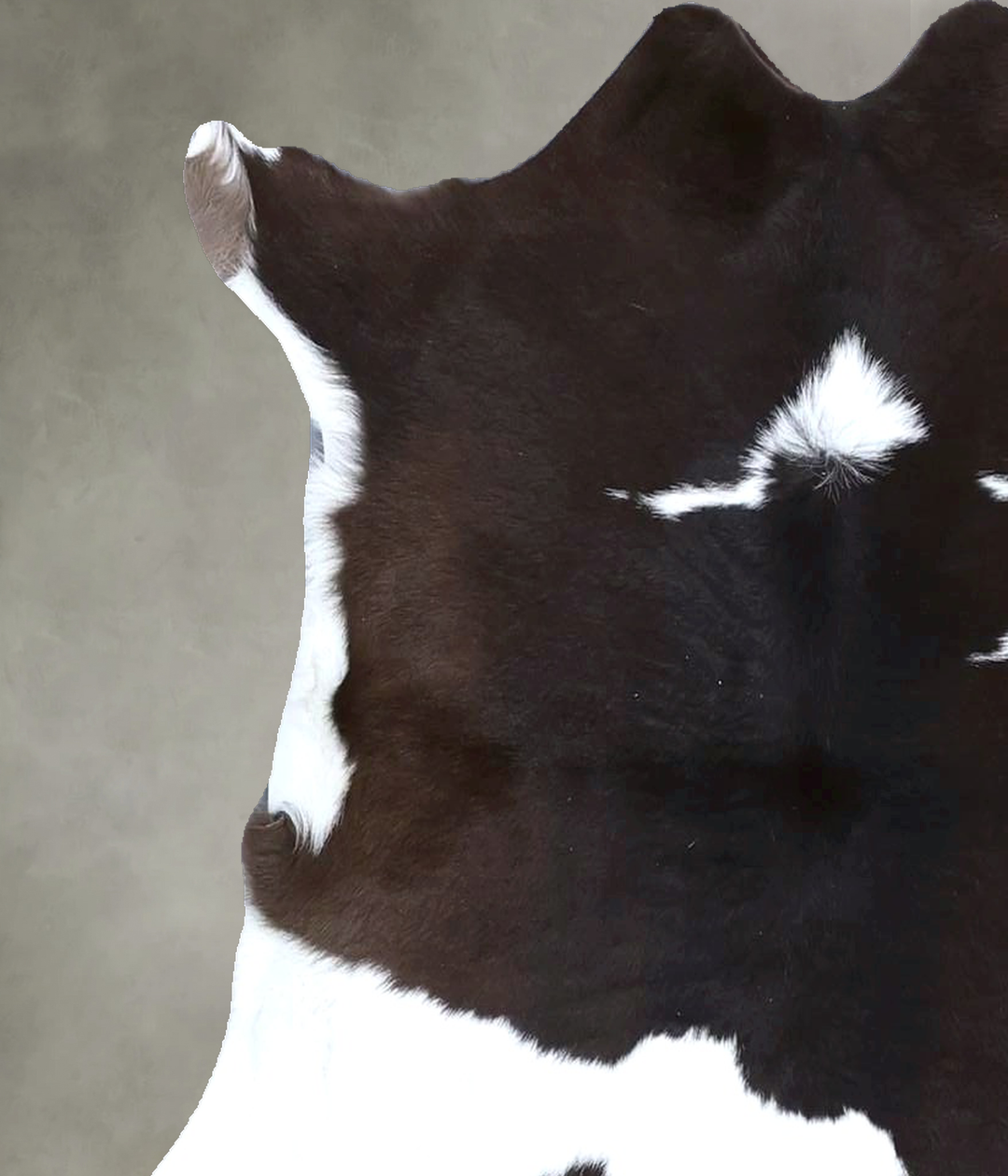 Calfhide Approx 2'x3' #B22264 by Hudson Hides