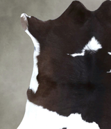 Calfhide Approx 2'x3' #B22264 by Hudson Hides