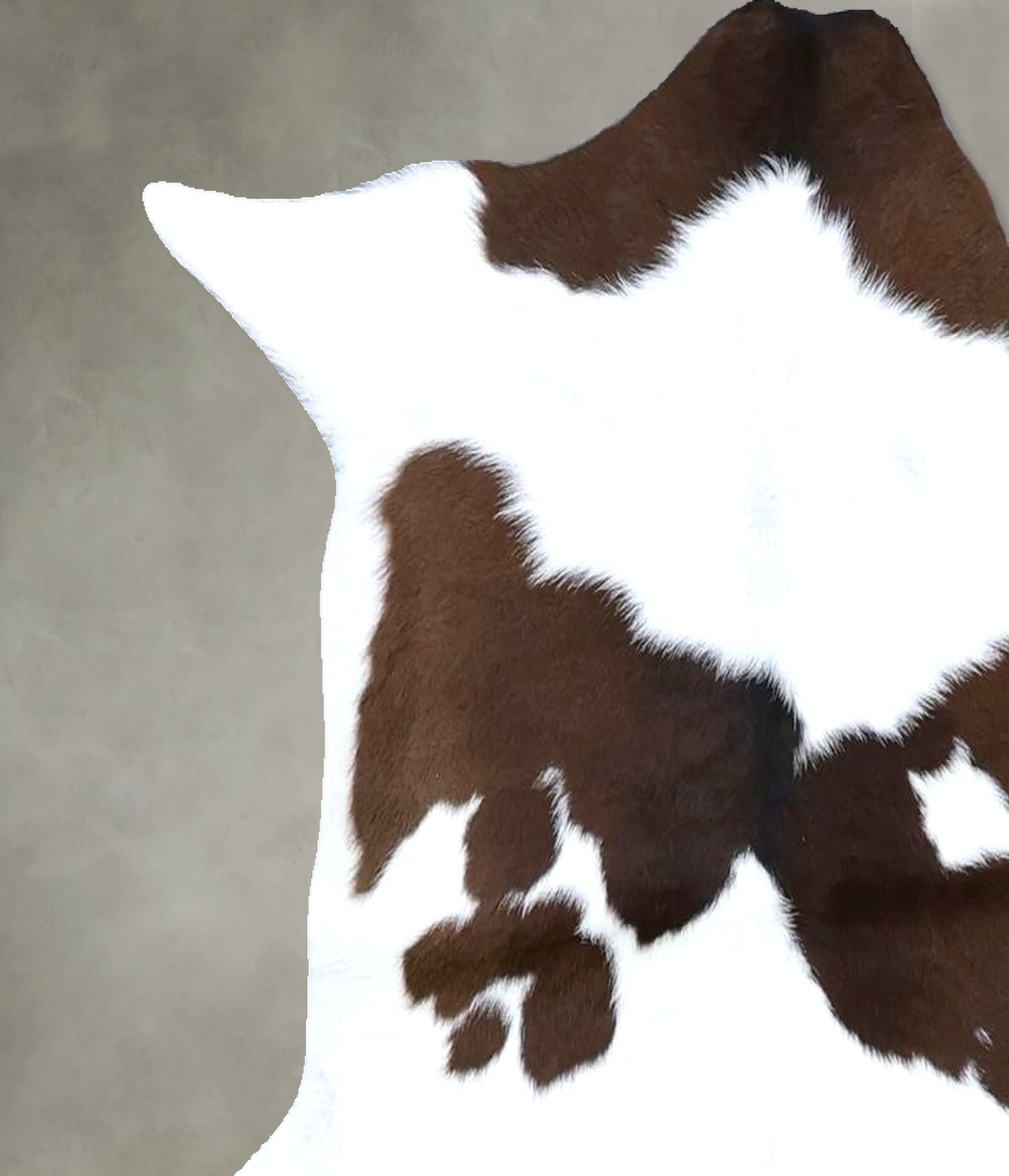 Calfhide Approx 2'x3' #B22267 by Hudson Hides