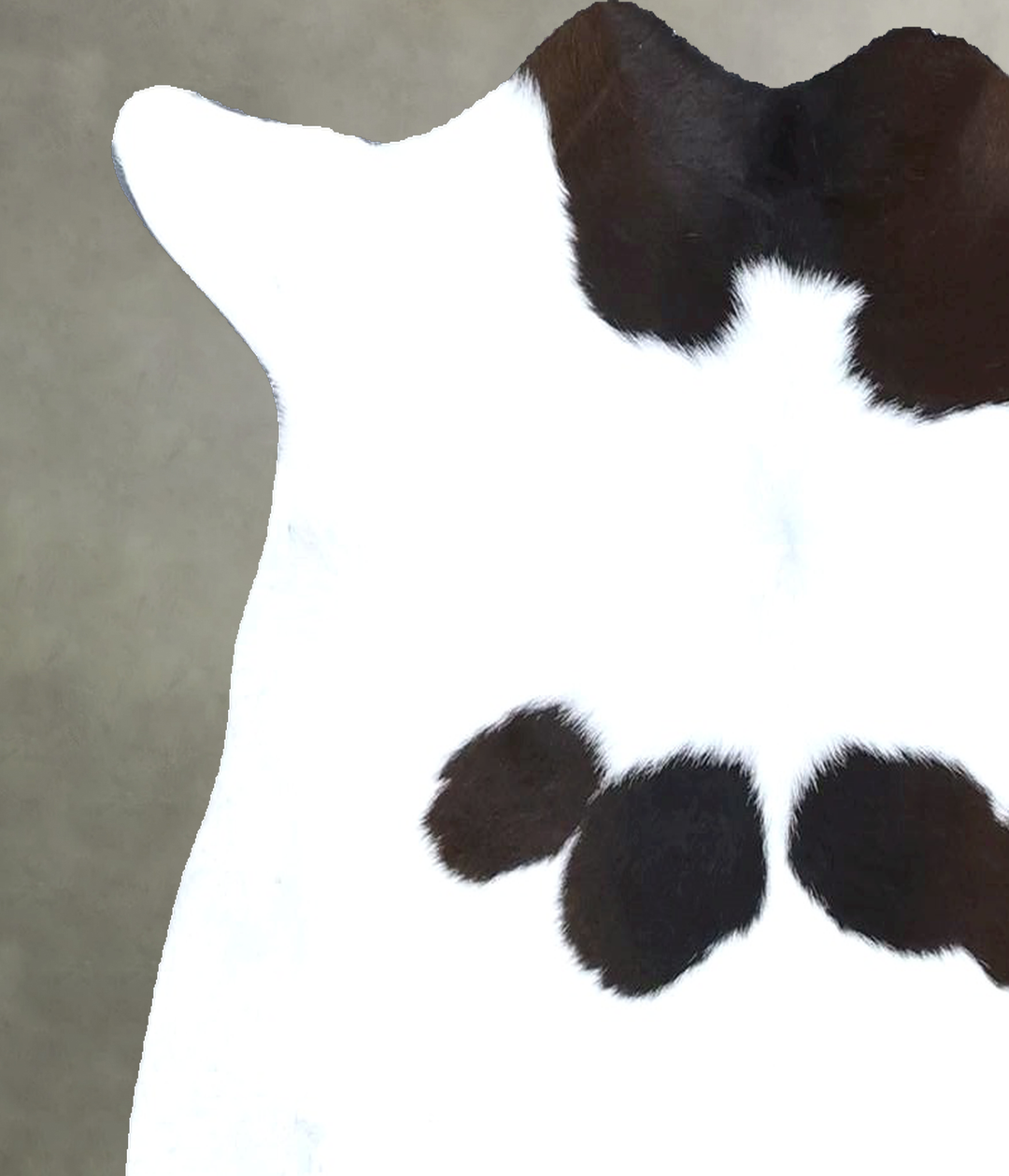 Calfhide Approx 2'x3' #B22268 by Hudson Hides