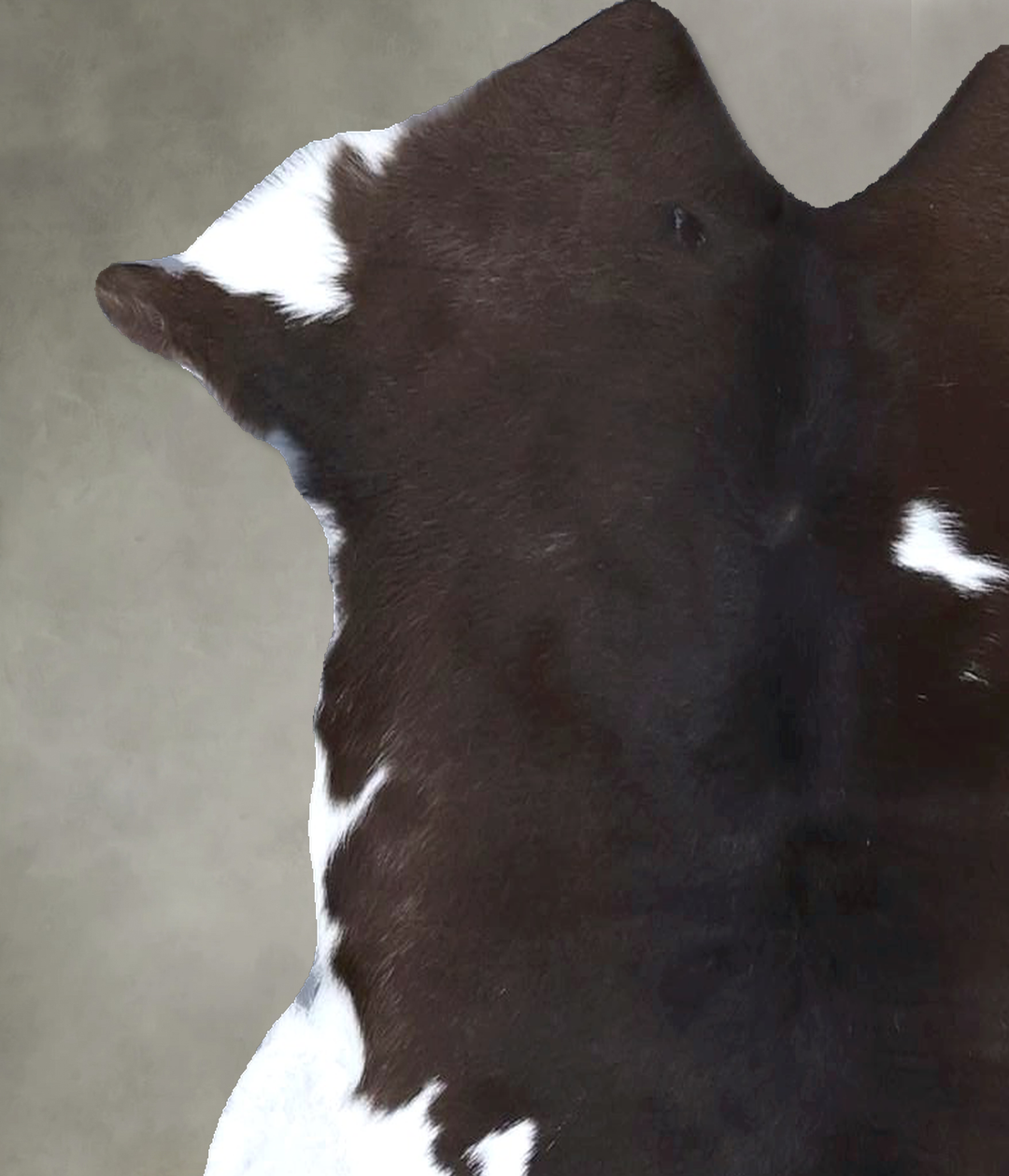 Calfhide Approx 2'x3' #B22269 by Hudson Hides