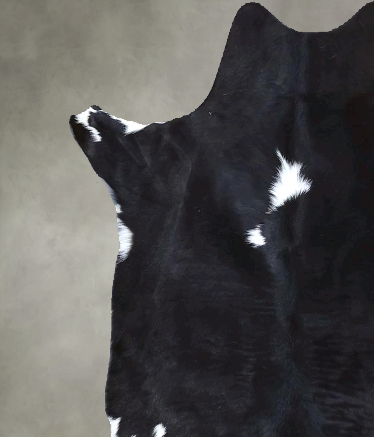 Calfhide Approx 2'x3' #B22270 by Hudson Hides