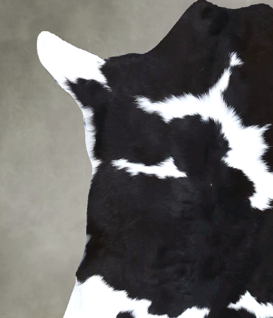 Calfhide Approx 2'x3' #B22271 by Hudson Hides