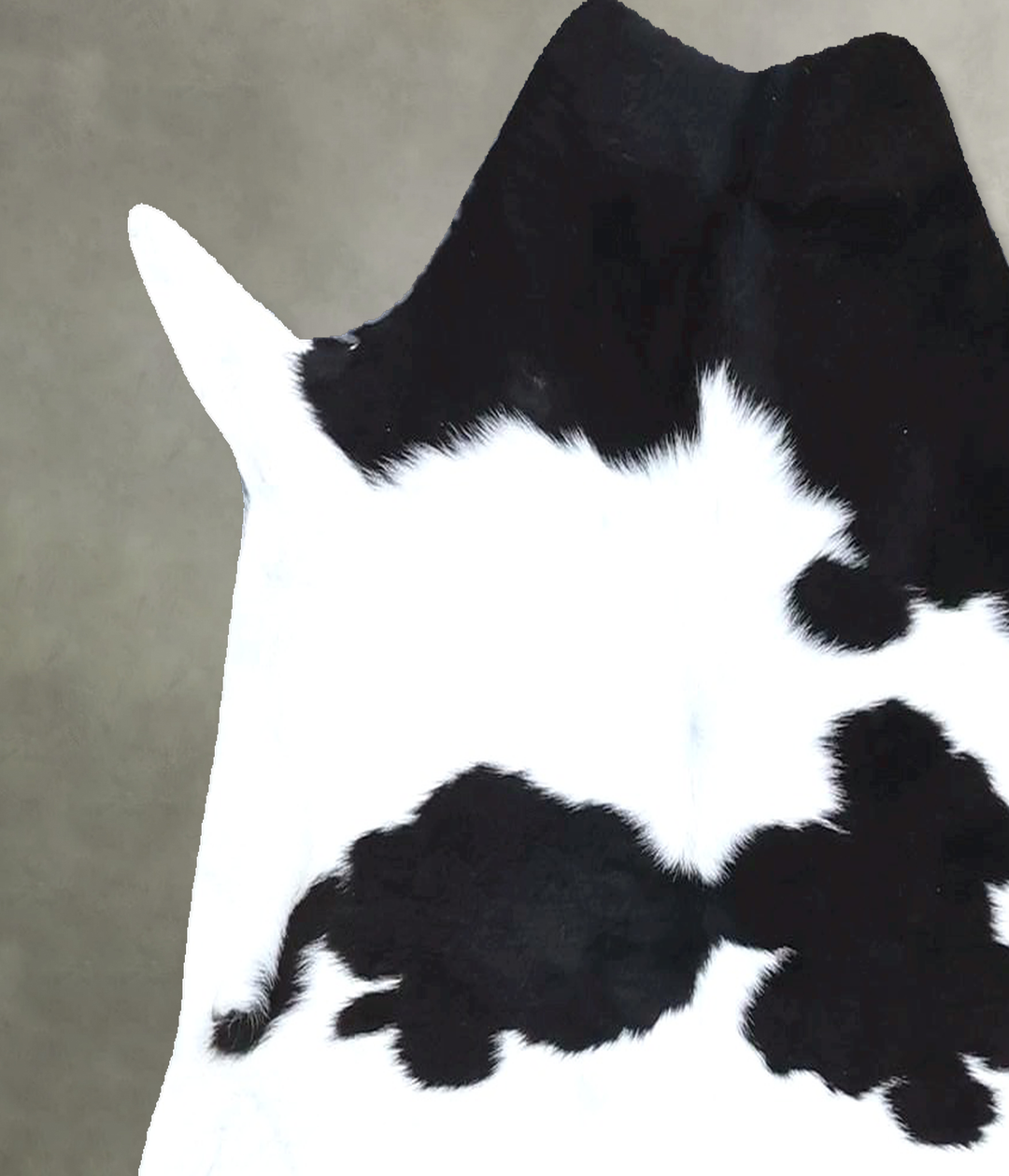 Calfhide Approx 2'x3' #B22272 by Hudson Hides