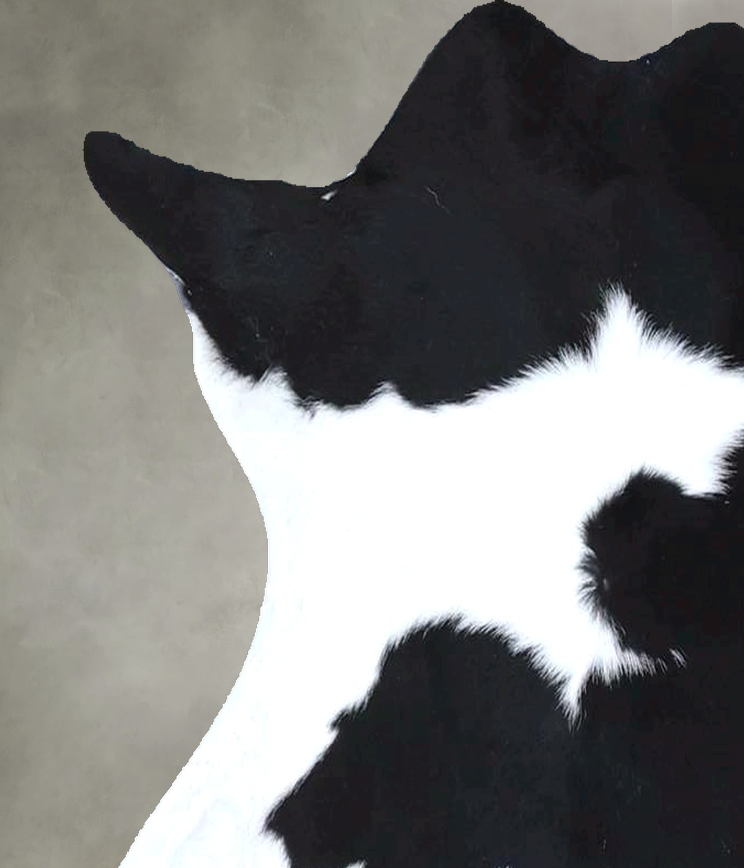 Calfhide Approx 2'x3' #B22273 by Hudson Hides