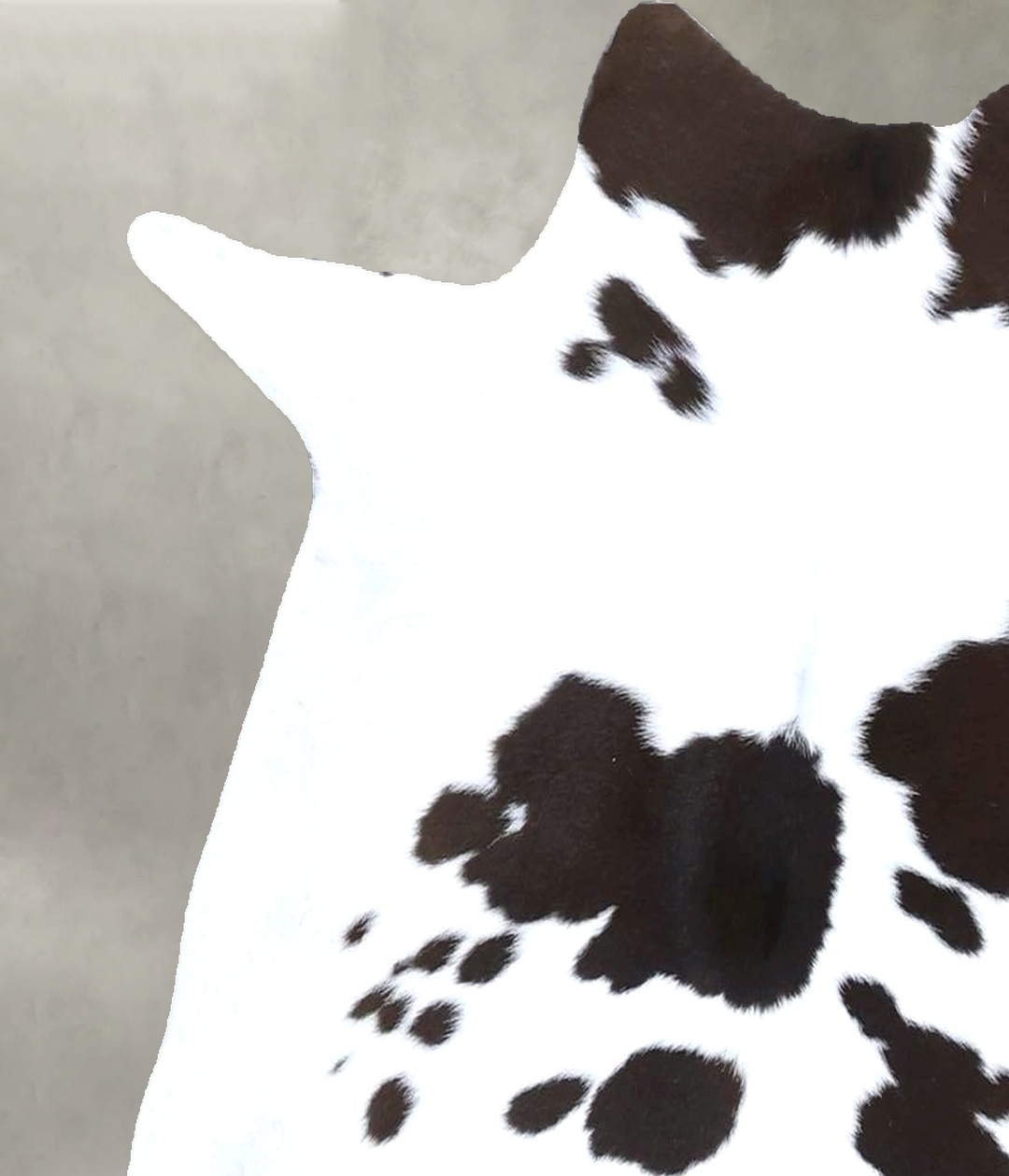 Calfhide Approx 2'x3' #B22274 by Hudson Hides