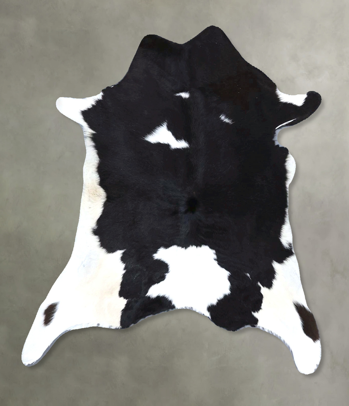 Calfhide Approx 2'x3' #B22275 by Hudson Hides
