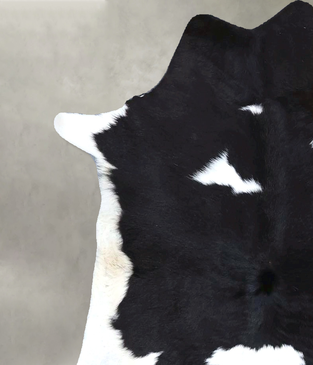 Calfhide Approx 2'x3' #B22275 by Hudson Hides