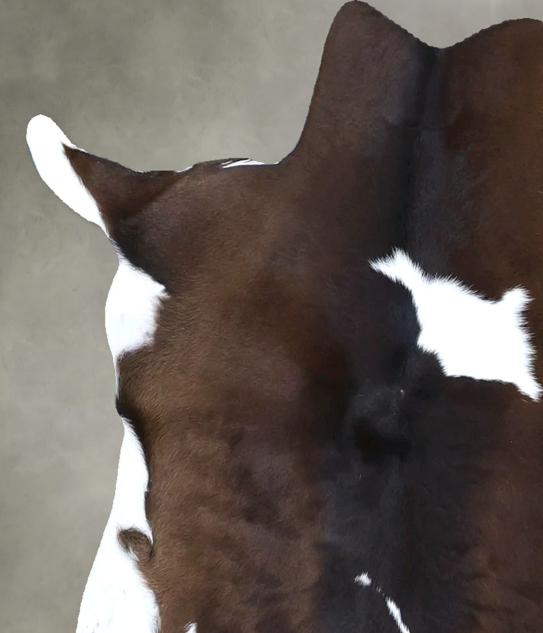 Calfhide Approx 2'x3' #B22276 by Hudson Hides