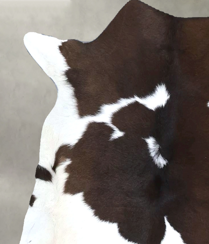 Calfhide Approx 2'x3' #B22277 by Hudson Hides