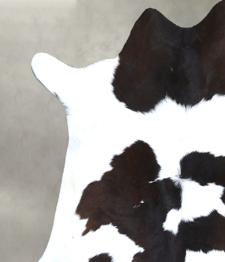 Calfhide Approx 2'x3' #B22278 by Hudson Hides