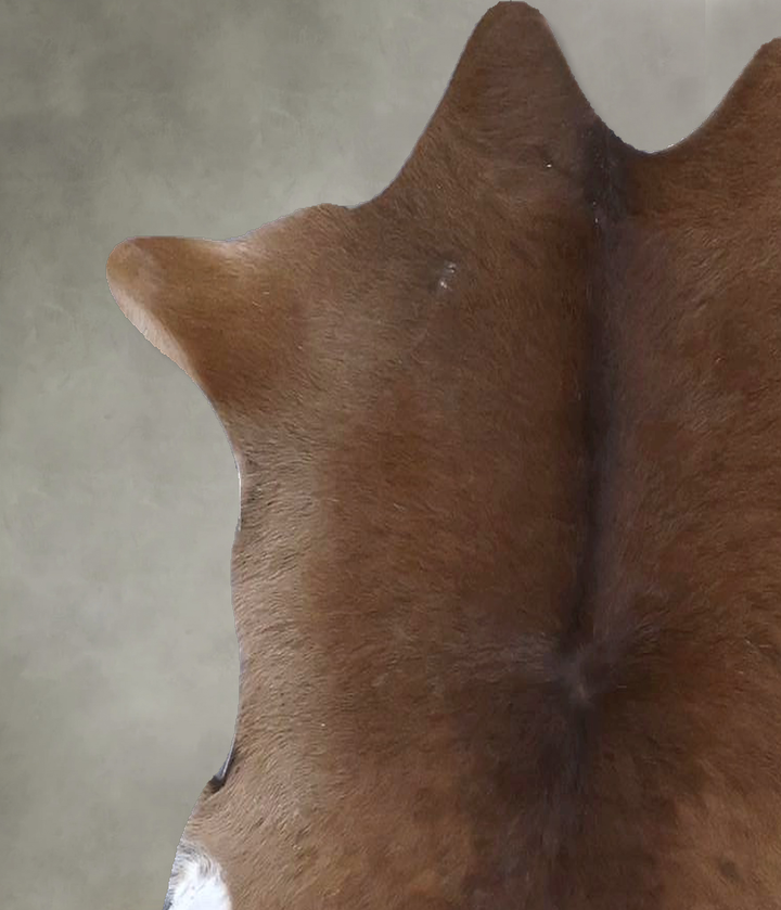 Calfhide Approx 2'x3' #B22280 by Hudson Hides