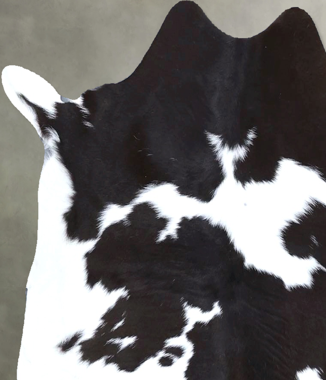 Calfhide Approx 2'x3' #B22281 by Hudson Hides