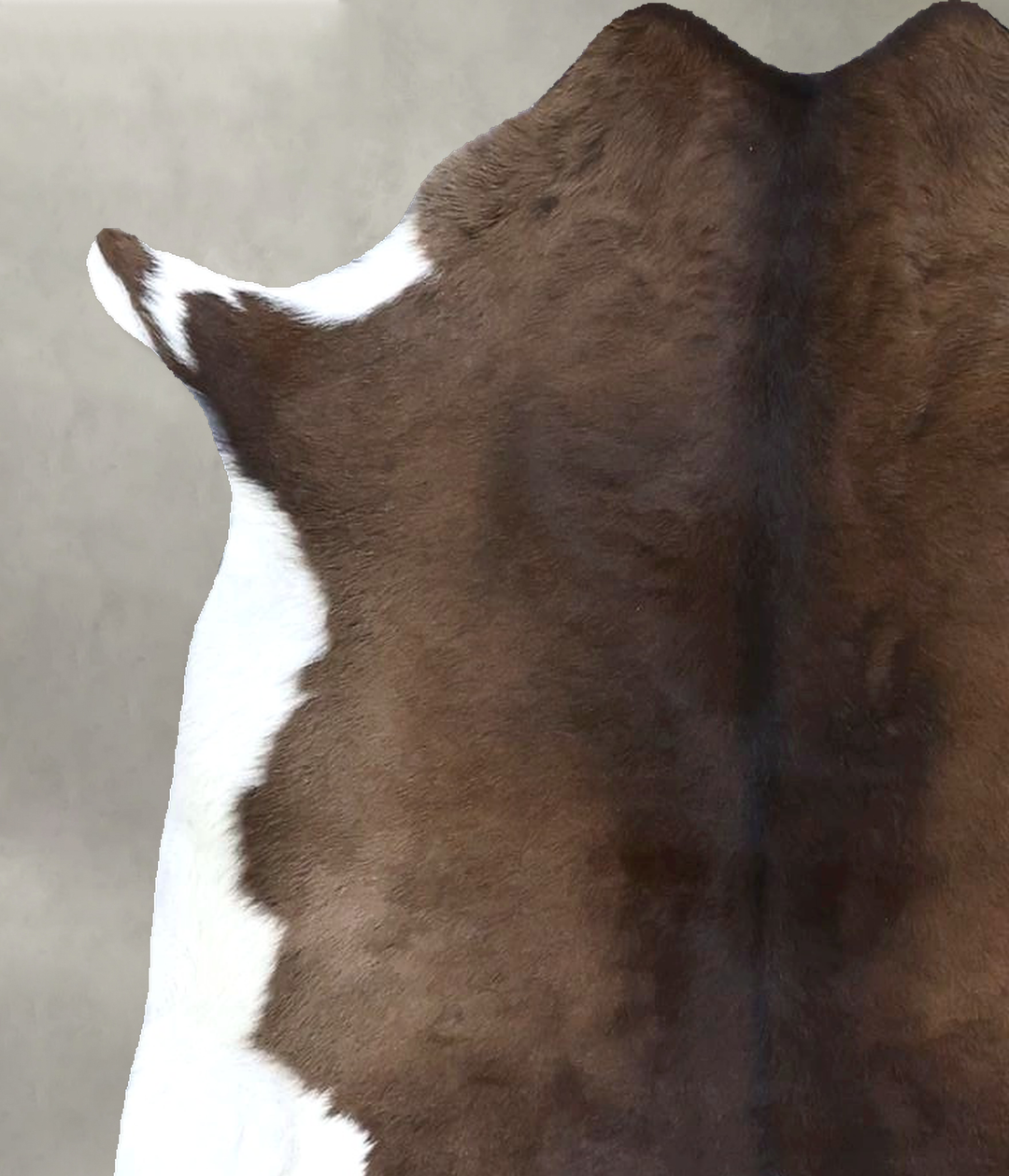 Calfhide Approx 2'x3' #B22282 by Hudson Hides