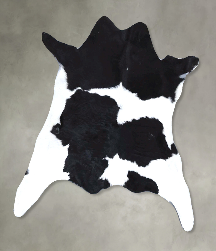 Calfhide Approx 2'x3' #B22283 by Hudson Hides