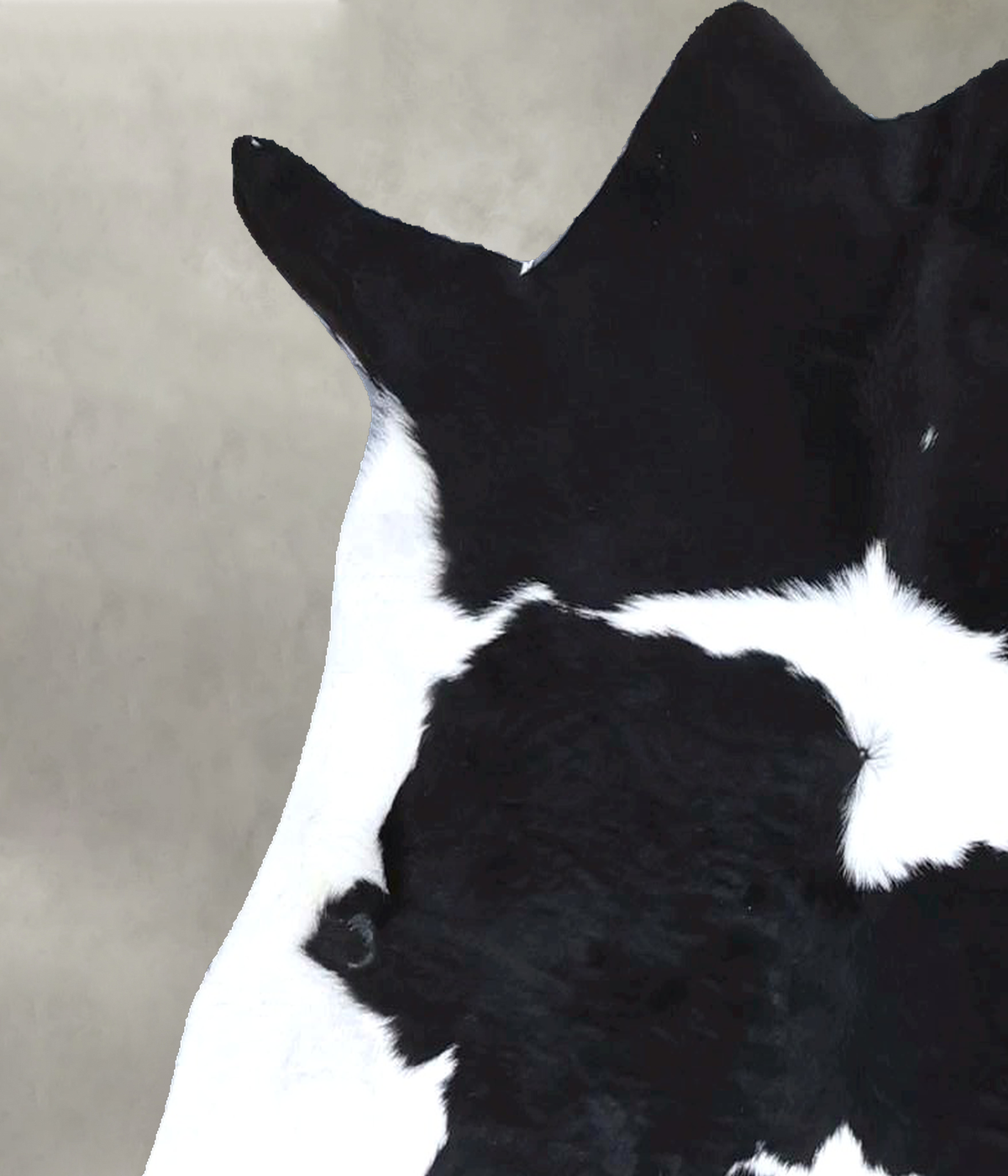 Calfhide Approx 2'x3' #B22283 by Hudson Hides