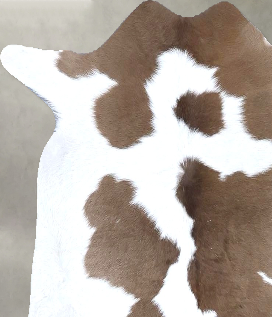 Calfhide Approx 2'x3' #B22284 by Hudson Hides