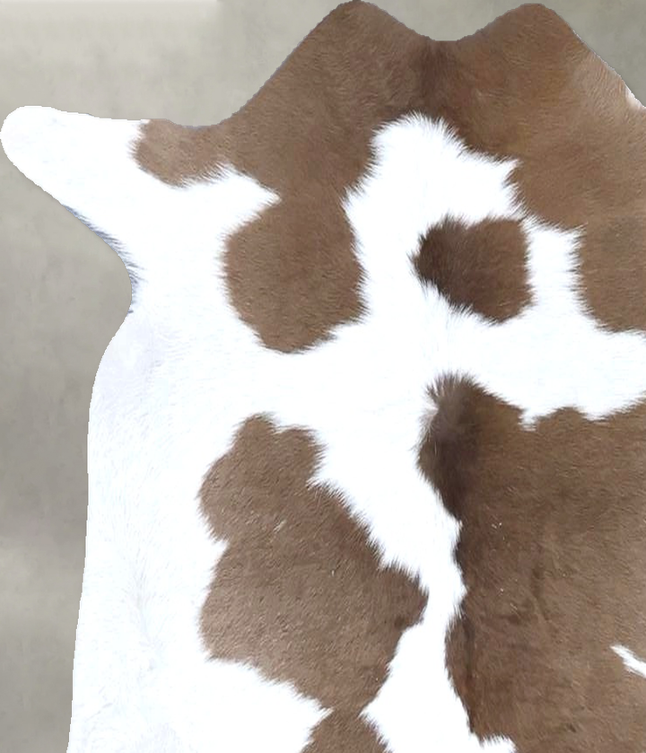 Calfhide Approx 2'x3' #B22284 by Hudson Hides