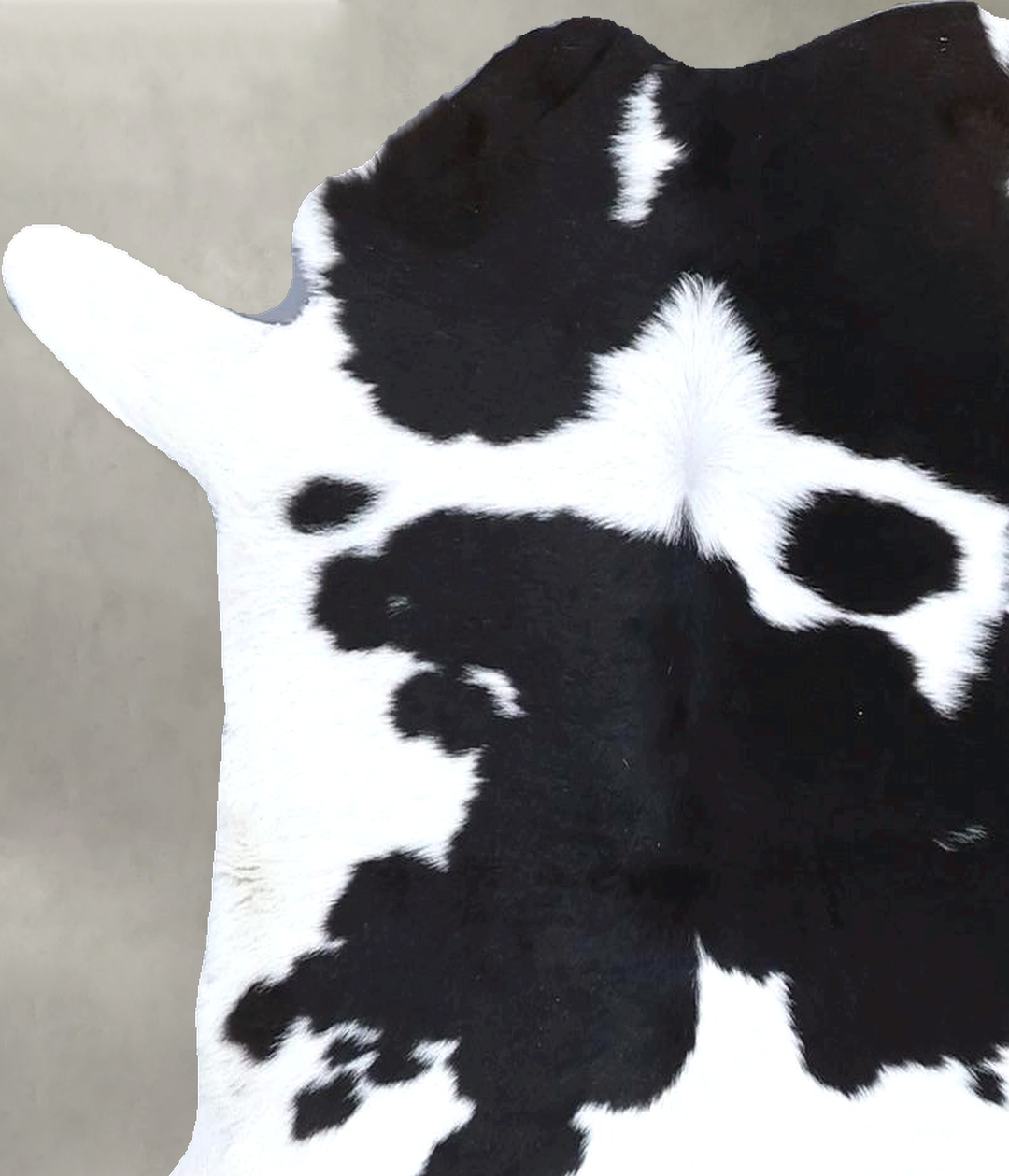 Calfhide Approx 2'x3' #B22285 by Hudson Hides