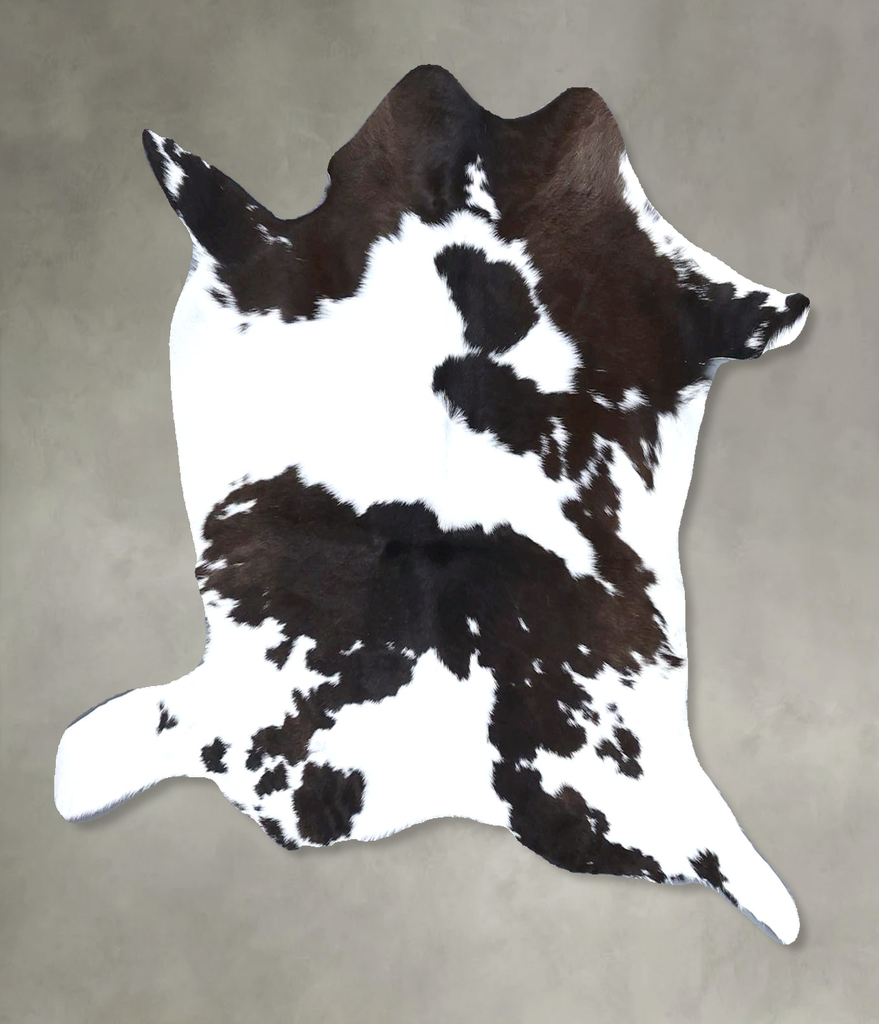 Calfhide Approx 2'x3' #B22286 by Hudson Hides