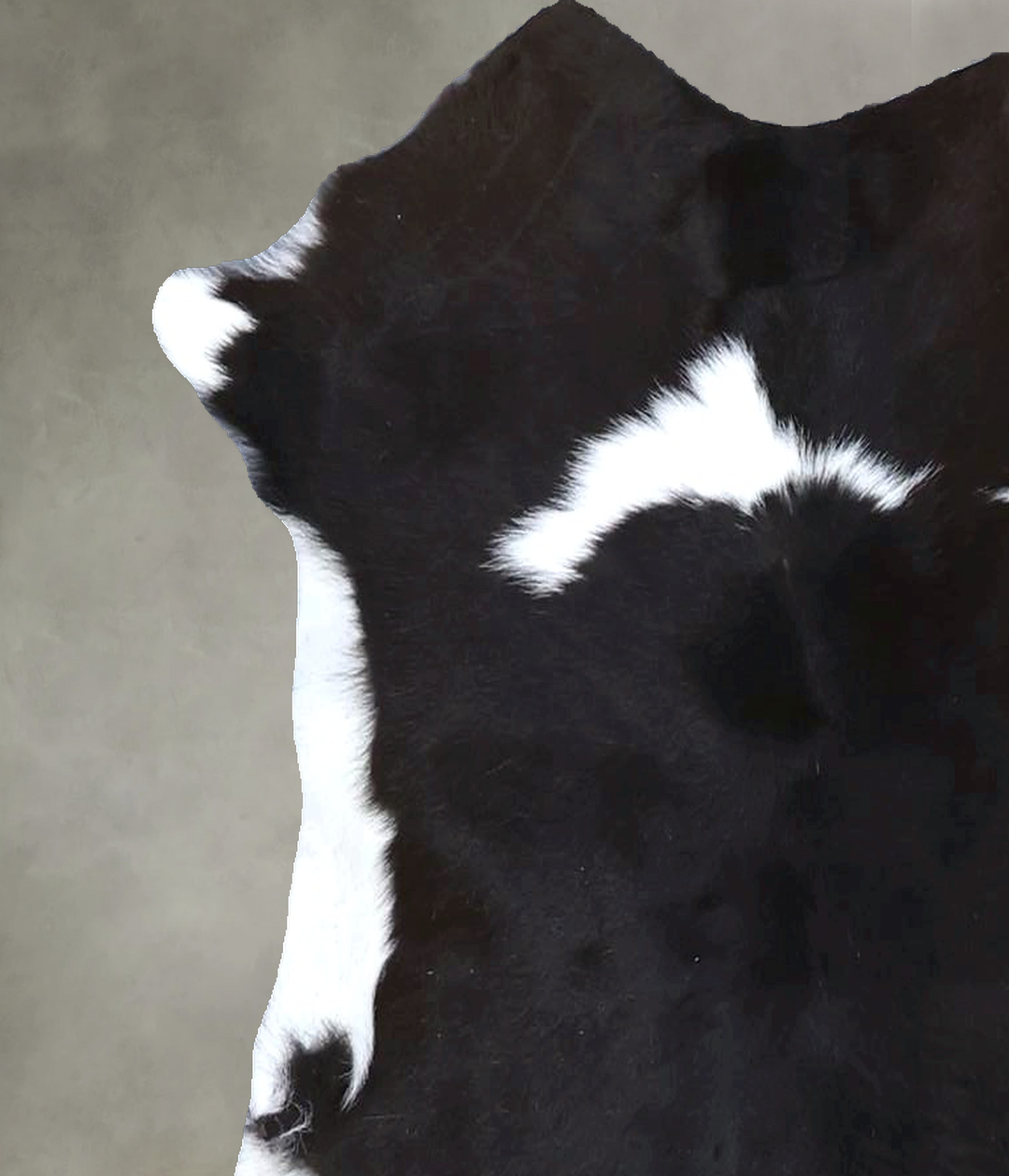 Calfhide Approx 2'x3' #B22288 by Hudson Hides