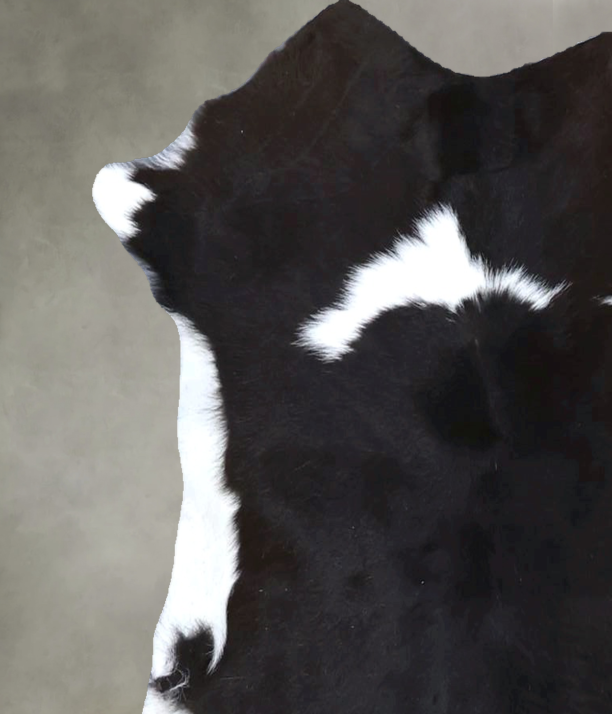 Calfhide Approx 2'x3' #B22288 by Hudson Hides