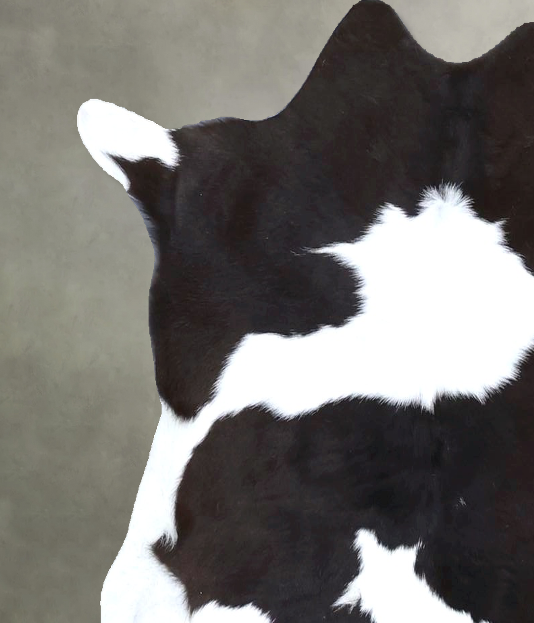 Calfhide Approx 2'x3' #B22289 by Hudson Hides