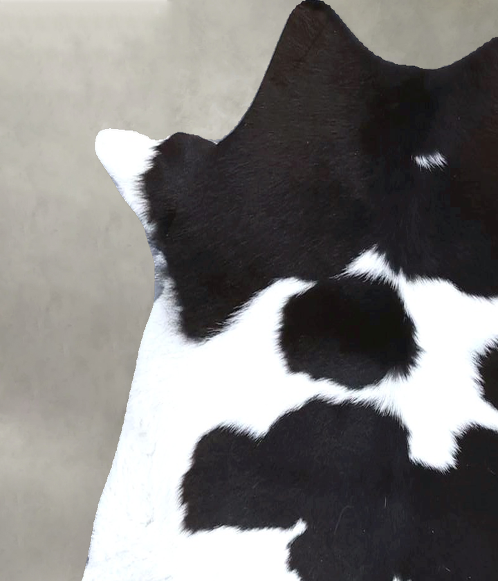 Calfhide Approx 2'x3' #B22290 by Hudson Hides