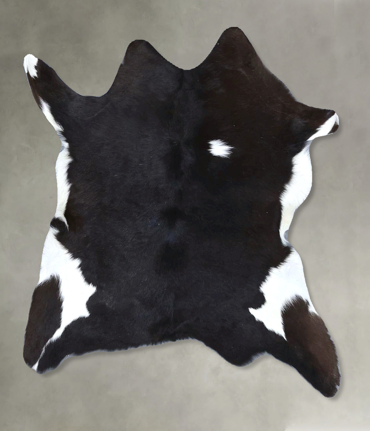Calfhide Approx 2'x3' #B22292 by Hudson Hides